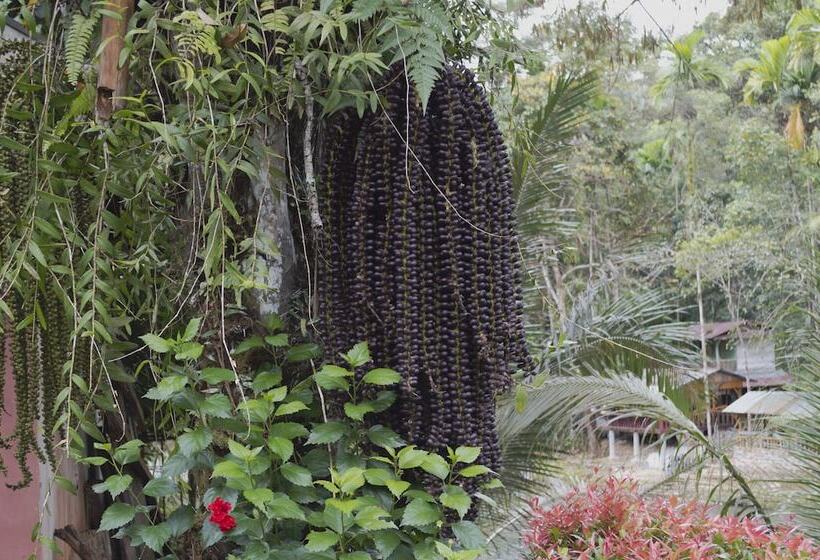 بنسيون Batu Katak Gibbon Guesthouse