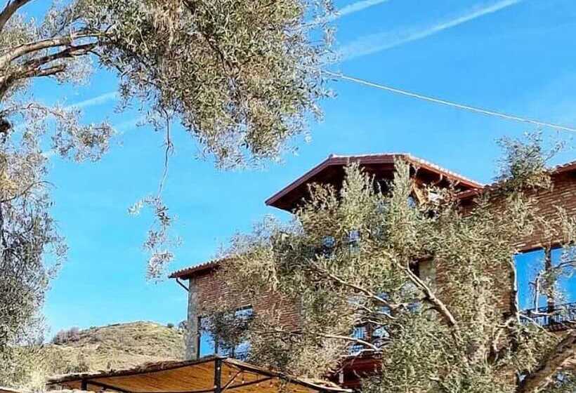 Пансион Bujtina Ajazi