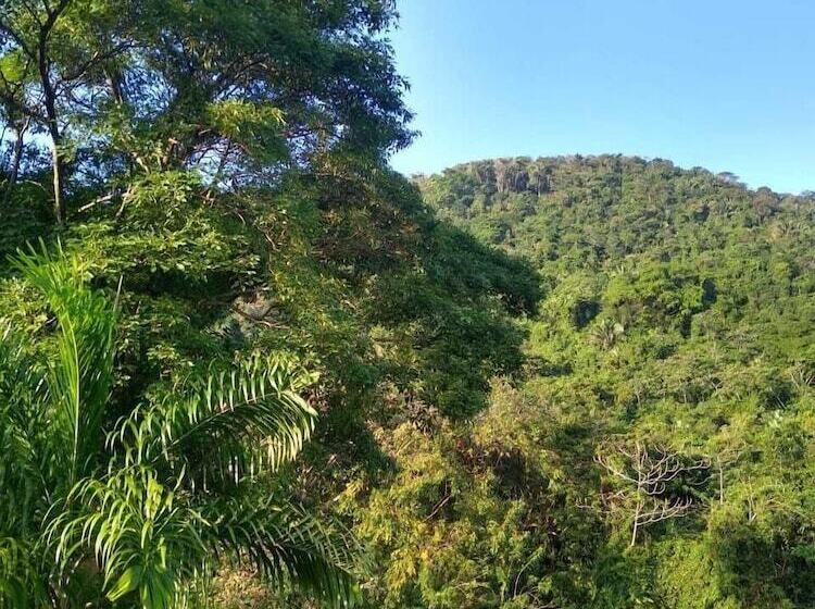 Пансион Casaluna Tayrona