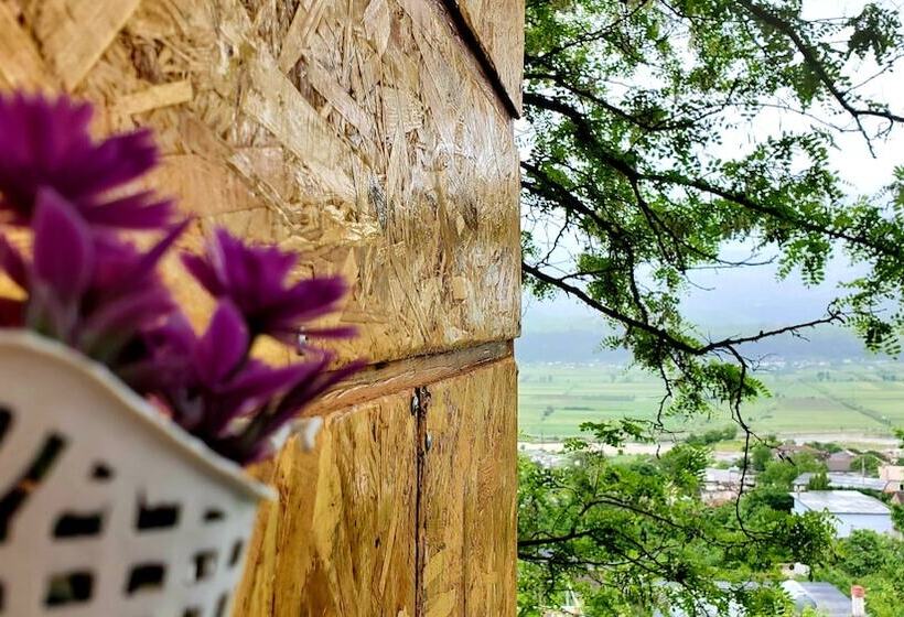 膳宿费 Clockwise Gjirokaster