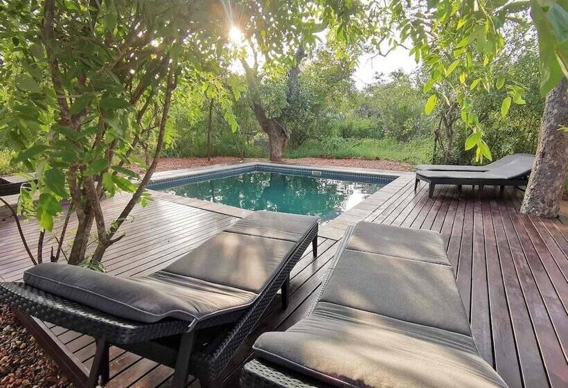 ペンション Gem In The Bush Lodge