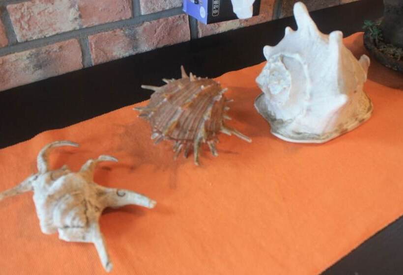 Pensão Jeju Baramuieondeok Guest House