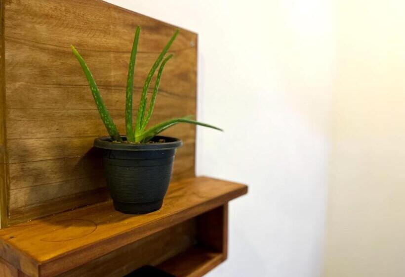 ペンション Mango Tree House Mirissa