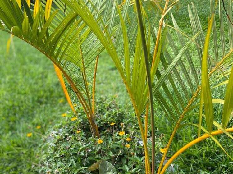 پانسیون The Greenville Home