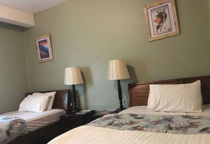 پانسیون The Greenville Home