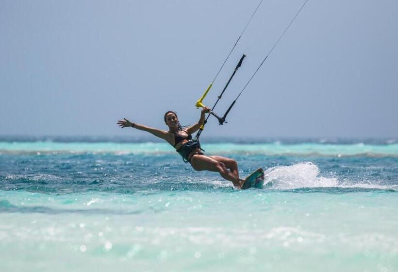 פנסיון Wing Camp