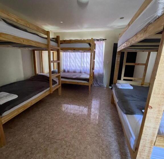 פנסיון Wing Camp