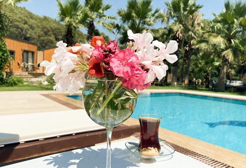 Riverside Gocek Apart Otel Tiny House