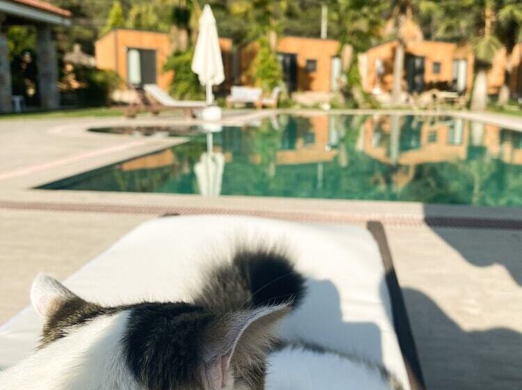 Riverside Gocek Apart Otel Tiny House