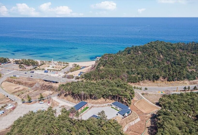 Yangyang In Memory Pension