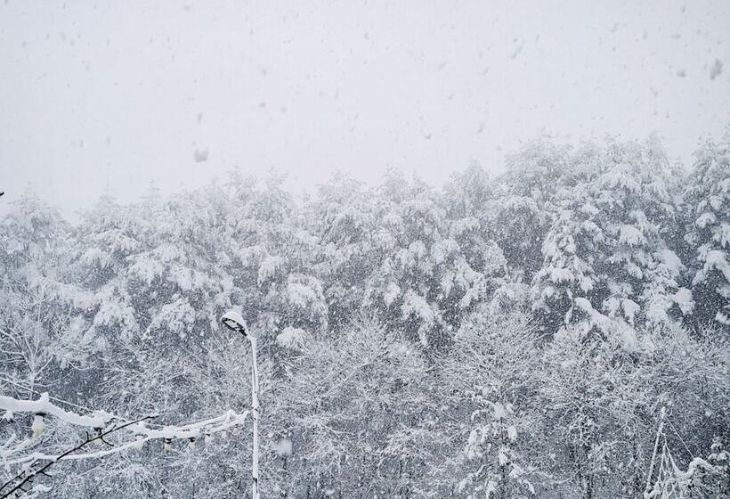 Yangyang In Memory Pension