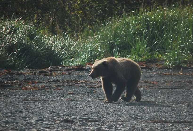 فندق 9th Wave Bed And Breakfast