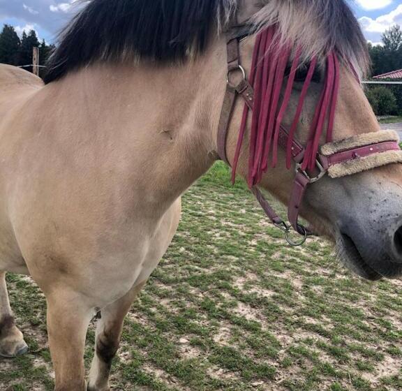 Отель Agro Nad Stawem