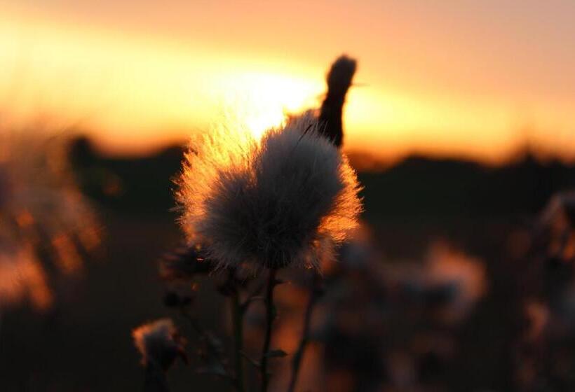 Отель Agro Nad Stawem