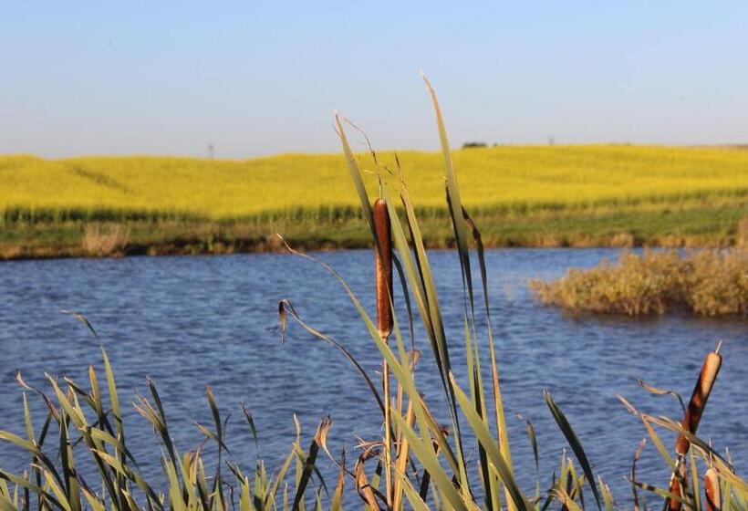 Отель Agro Nad Stawem