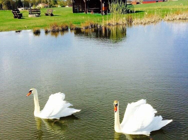 Отель Agro Nad Stawem