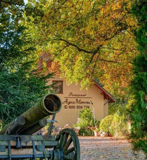 ホテル Agromurena