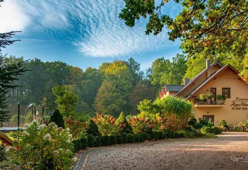 Отель Agromurena