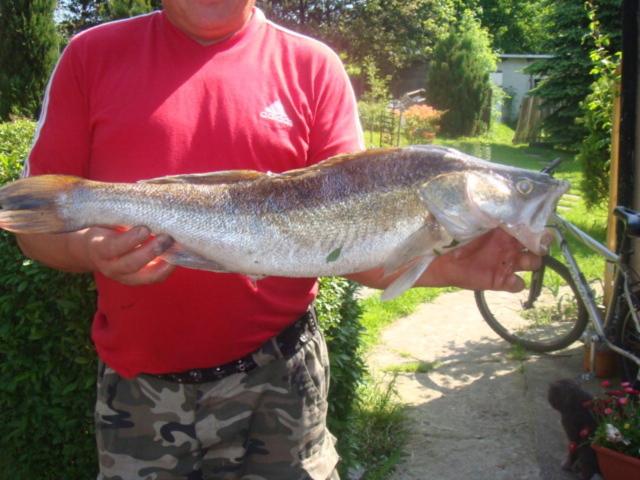 ホテル Agromurena