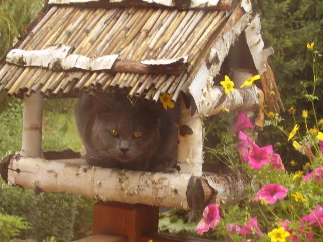 ホテル Agromurena