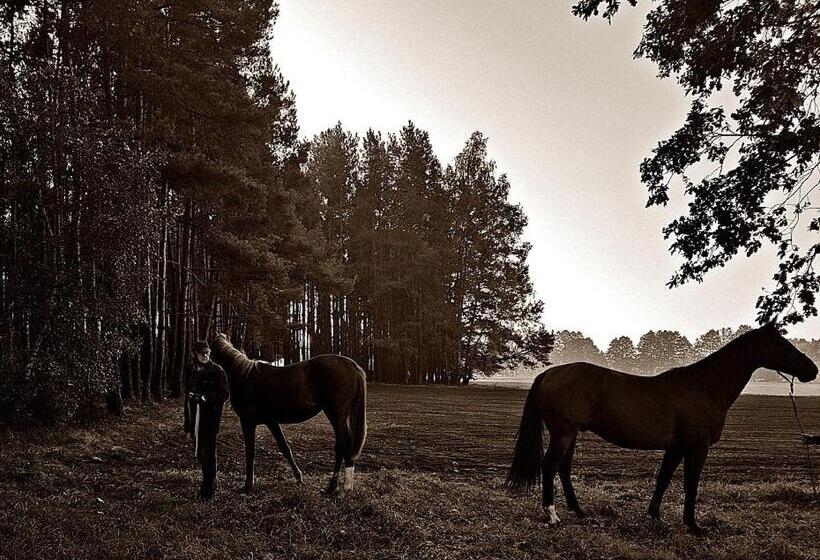 호텔 Agroturystyka Pod Modrzewiami