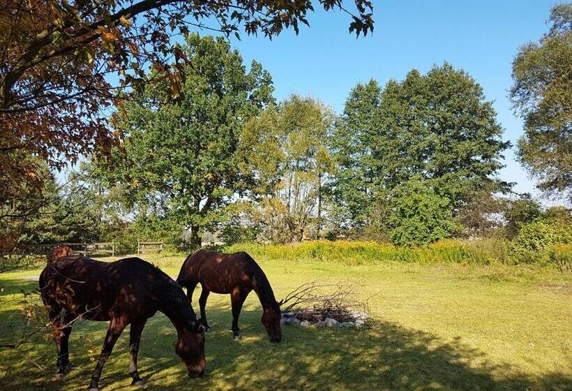 호텔 Agroturystyka Pod Modrzewiami