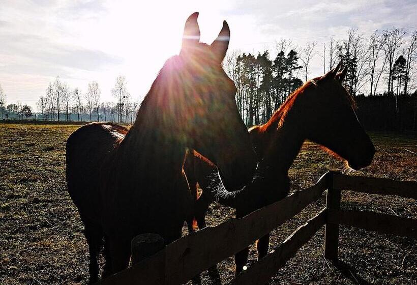 호텔 Agroturystyka Pod Modrzewiami