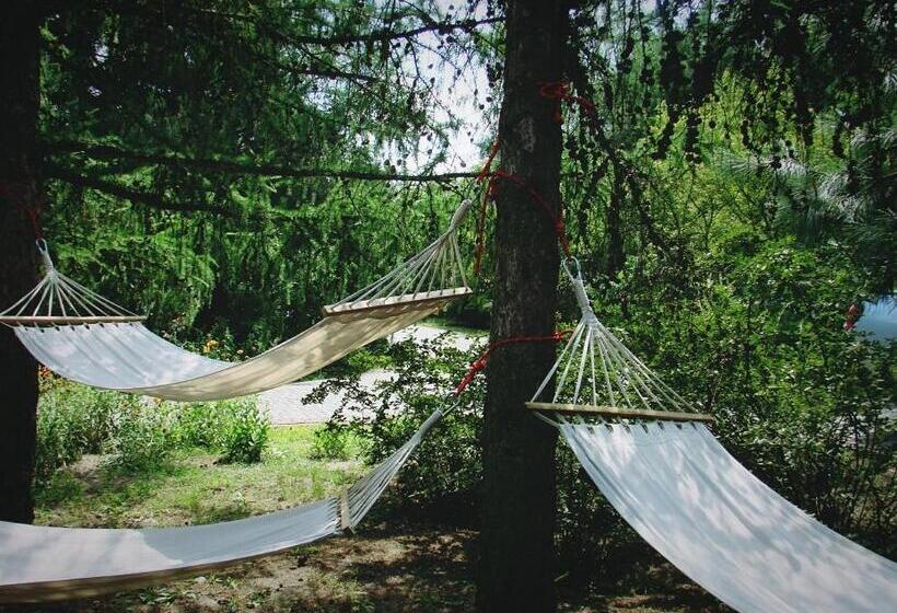 호텔 Agroturystyka Pod Modrzewiami