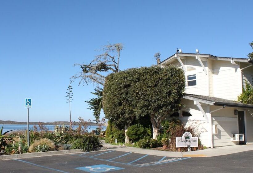 בית מלון כפרי Back Bay Inn