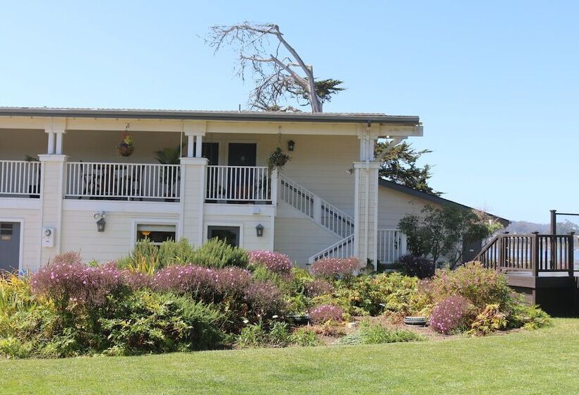 בית מלון כפרי Back Bay Inn