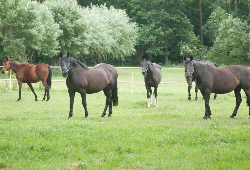 בית מלון כפרי Barczyzna Medical Spa