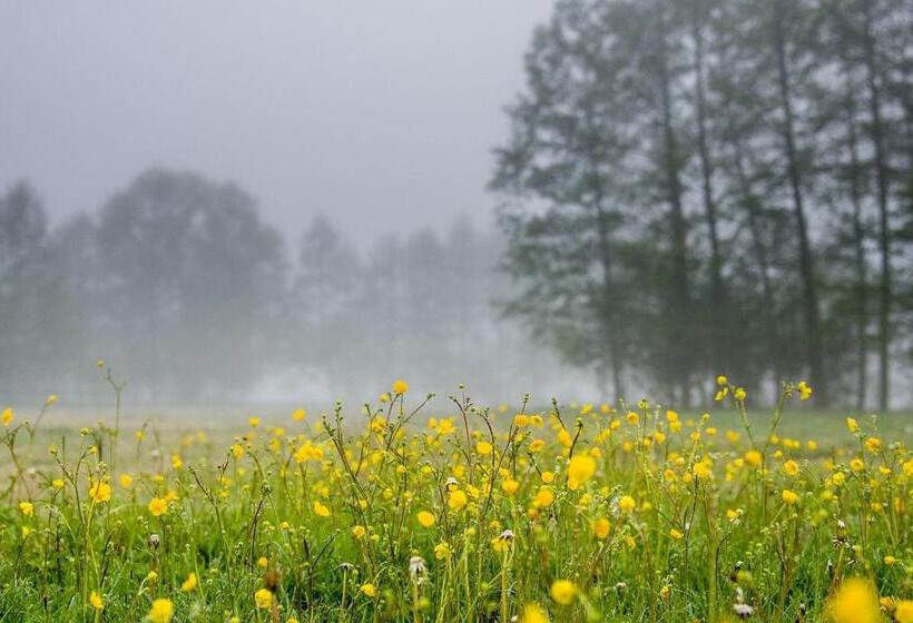 בית מלון כפרי Barczyzna Medical Spa