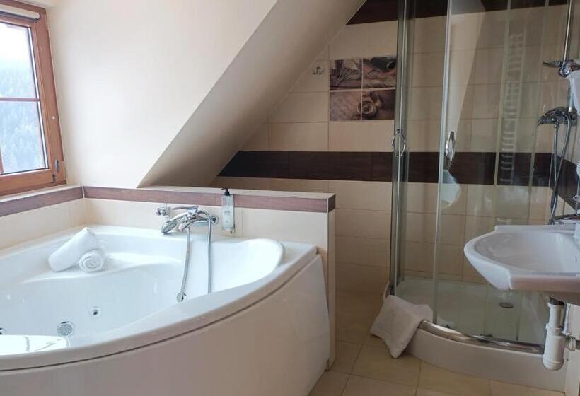 Отель Beskidzki Raj Medical Spa