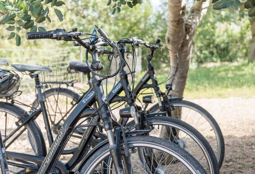 ホテル Cas Cabo Nou Agroturismo Adults Only