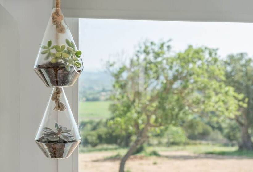 ホテル Cas Cabo Nou Agroturismo Adults Only