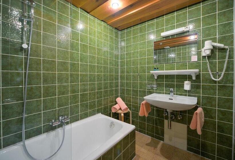 호텔 Chalet Sonne Vandans