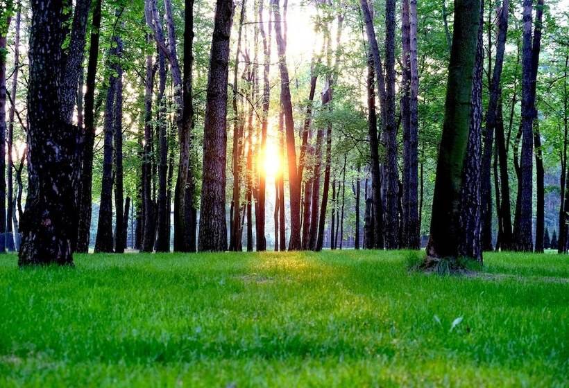 בית מלון כפרי Columna Medica