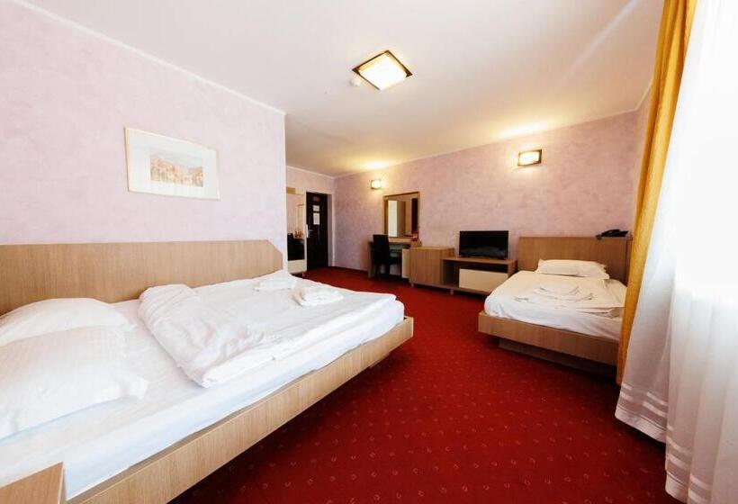 ホテル Complex Turistic Max International