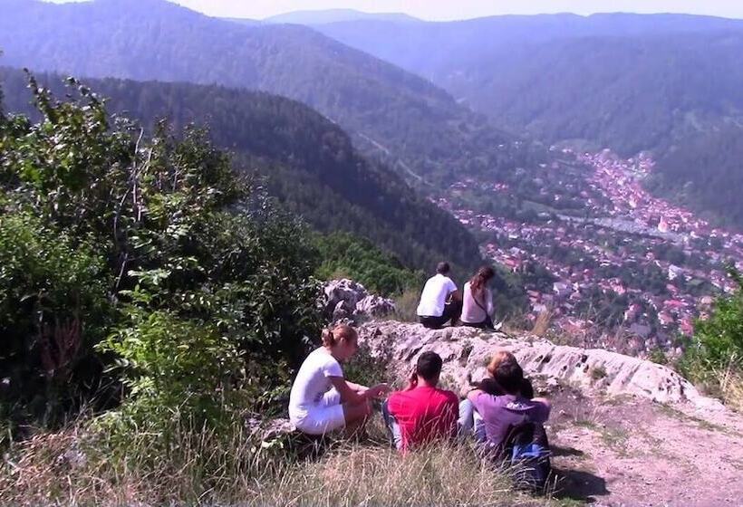 ホテル Complex Turistic Max International