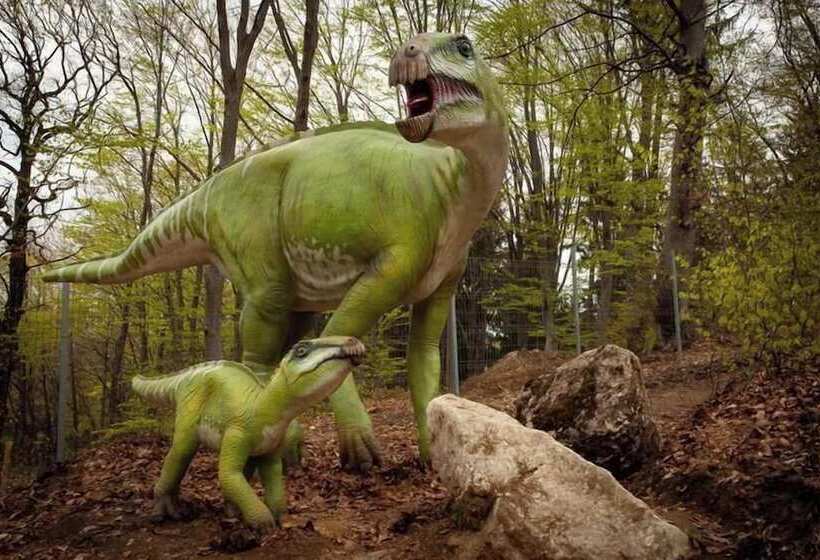 ホテル Complex Turistic Max International