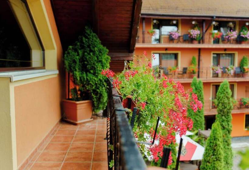 ホテル Complex Turistic Max International