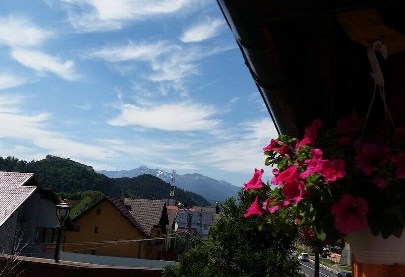 ホテル Complex Turistic Max International