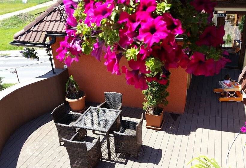 ホテル Complex Turistic Max International