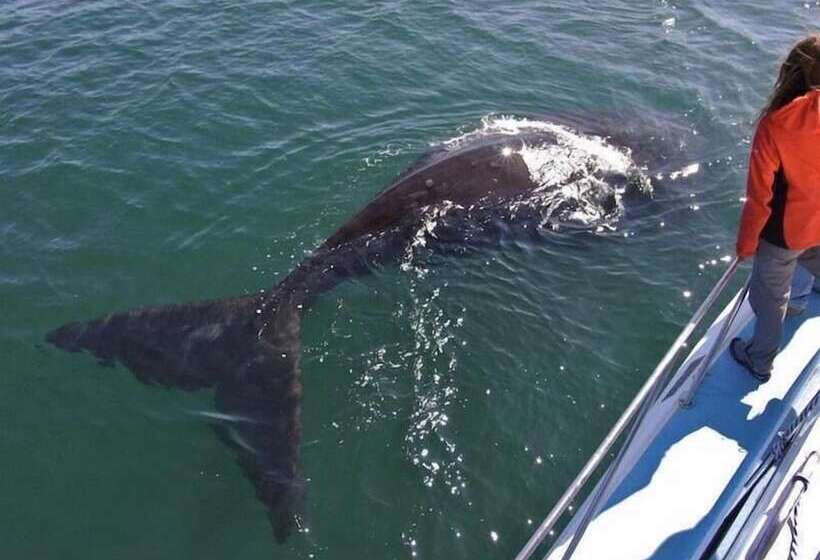 فندق Crayfish Lodge Sea & Country Guest House