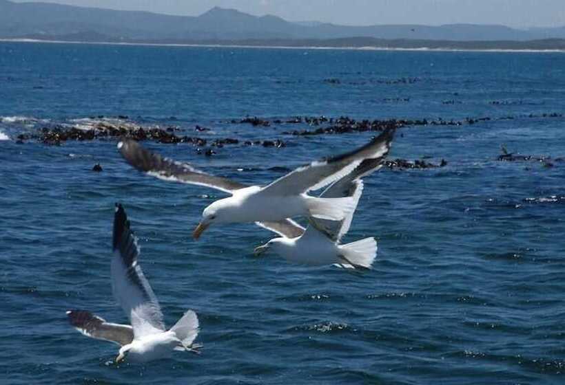 فندق Crayfish Lodge Sea & Country Guest House