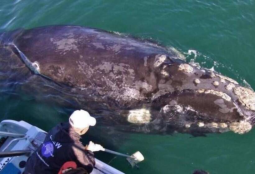 فندق Crayfish Lodge Sea & Country Guest House