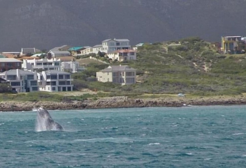 فندق Crayfish Lodge Sea & Country Guest House