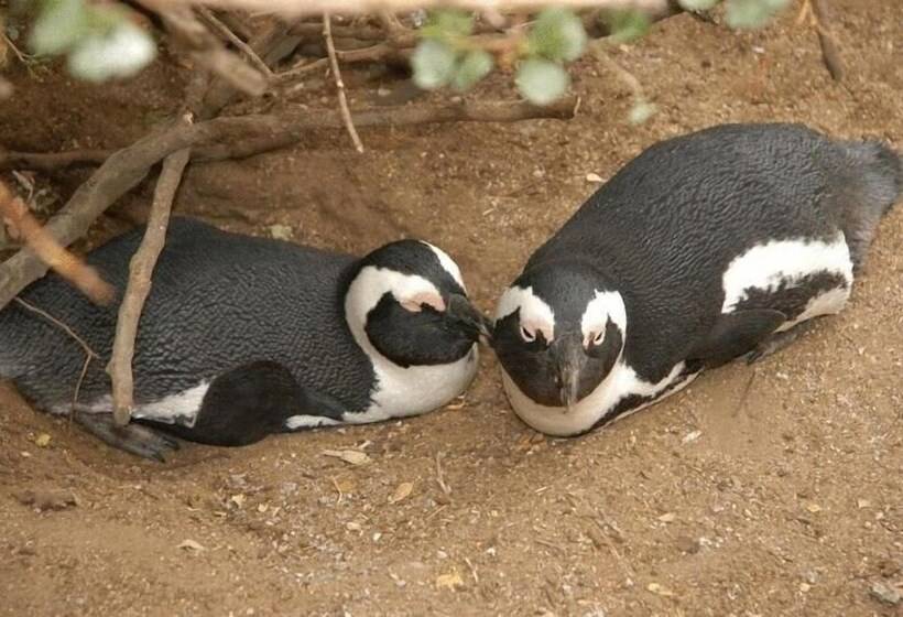 فندق Crayfish Lodge Sea & Country Guest House