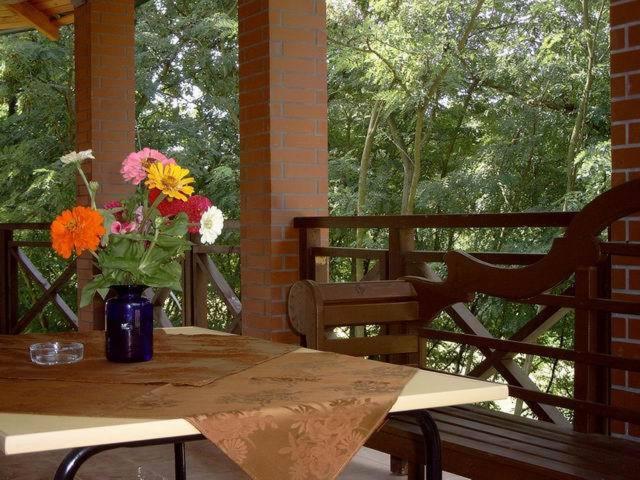 Отель Dolina Leśna Ośno Lubuskie