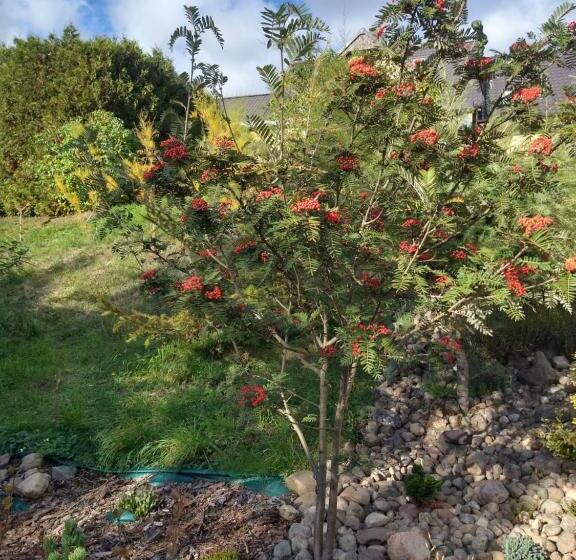호텔 Dom Wczasowy Pięciu Pomostów I Domki Letniskowe
